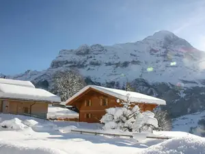 Ferienwohnung für 3 Personen (49 m²) in Grindelwald