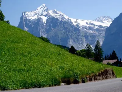 Am Eigen Aussicht Wetterhorn So