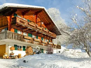 Ferienwohnung für 4 Personen (50 m²) in Grindelwald
