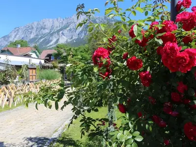 Ferienwohnung für 6 Personen (100 m²) in Gröbming 6/10