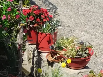 Ferienwohnung für 4 Personen in Grohote 4/10