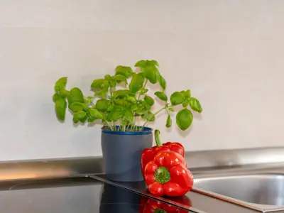 Ferienwohnung für 4 Personen (45 m²) in Grömitz 9/10