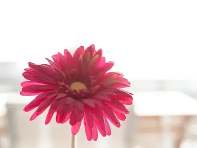 Ferienwohnung für 4 Personen (53 m²) in Grömitz 6/10