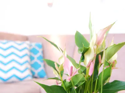 Ferienwohnung für 3 Personen (32 m²) in Grömitz 7/10