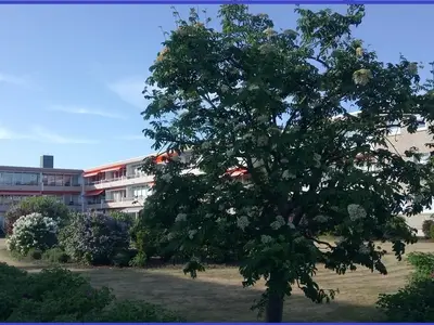 Ferienwohnung für 4 Personen (49 m²) in Grömitz 2/10