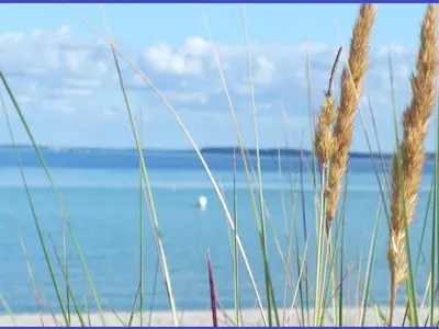 Ferienwohnung für 4 Personen (49 m²) in Grömitz 4/10