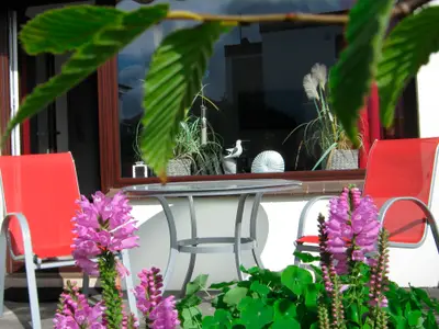 Ferienwohnung für 3 Personen (40 m²) in Grömitz 10/10