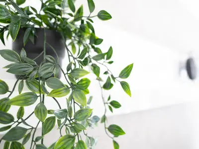 Ferienwohnung für 4 Personen (49 m²) in Grömitz 9/10