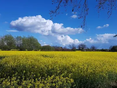 Ferienwohnung für 5 Personen (46 m²) in Grömitz 9/10