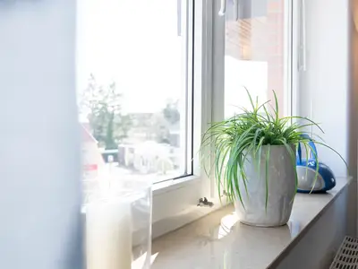 Ferienwohnung für 4 Personen (39 m²) in Grömitz 6/10