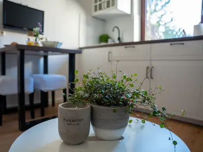 Ferienwohnung für 2 Personen (25 m²) in Grömitz 7/10