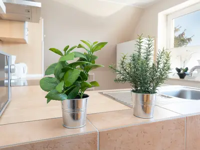 Ferienwohnung für 4 Personen (55 m²) in Grömitz 10/10