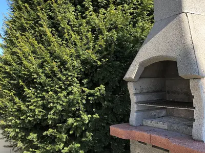 Ferienwohnung für 6 Personen (85 m²) in Grömitz 3/10