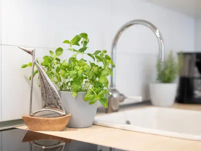 Ferienwohnung für 2 Personen (31 m²) in Grömitz 9/10