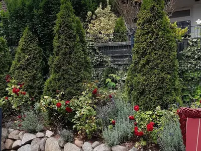 Ferienwohnung für 4 Personen (40 m²) in Grömitz 6/10