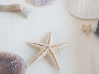 Ferienwohnung für 2 Personen (53 m²) in Grömitz 10/10