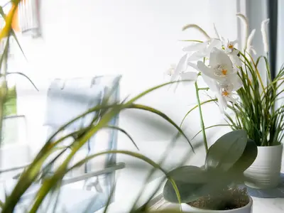 Ferienwohnung für 4 Personen (45 m²) in Grömitz 10/10