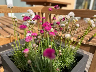 Ferienwohnung für 2 Personen (54 m²) in Grömitz 4/10