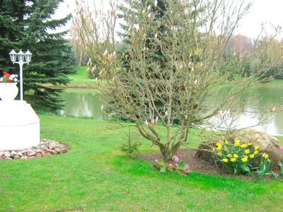 Ferienwohnung für 2 Personen (40 m²) in Cismar 3/6