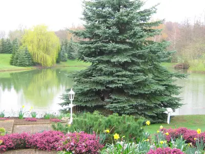 Ferienwohnung für 2 Personen (40 m²) in Cismar 6/6