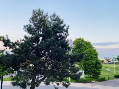 Ferienwohnung für 2 Personen (30 m²) in Grömitz 2/10