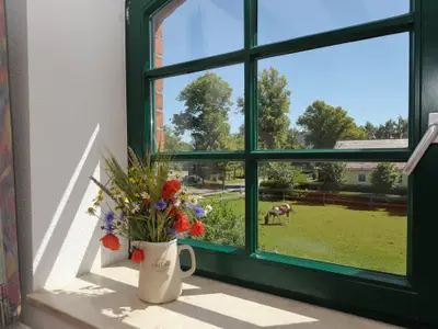 De Koecksch: Ausblick