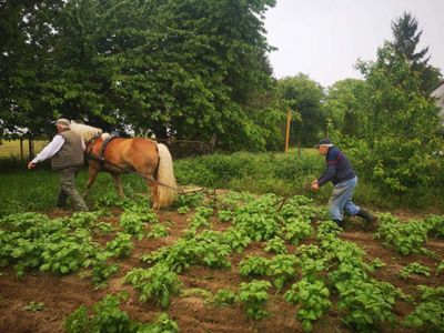 Landwirtschaft aktiv betreiben