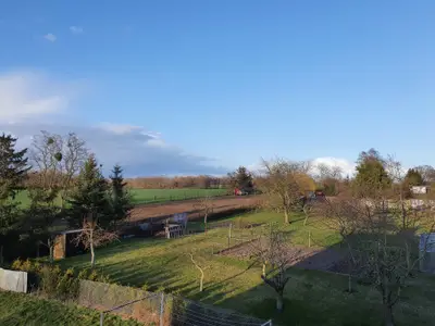 Ferienwohnung für 3 Personen (35 m²) in Groß Miltzow 8/10