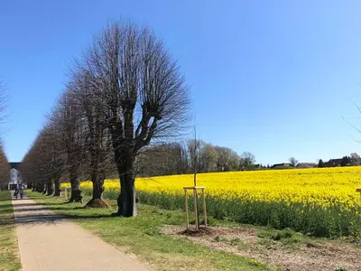 Ferienwohnung für 8 Personen (150 m²) in Groß Schwansee 4/10
