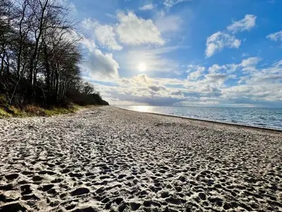 Ferienwohnung für 8 Personen (153 m²) in Groß Schwansee 7/10