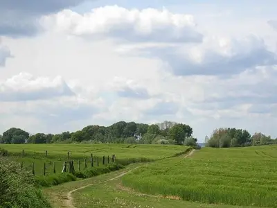Ferienwohnung für 8 Personen (153 m²) in Groß Schwansee 8/10