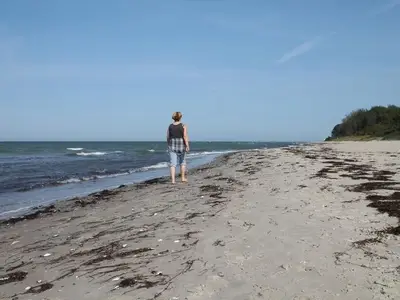 Ferienwohnung für 8 Personen (160 m²) in Groß Schwansee 9/10