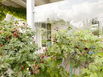 Ferienwohnung für 8 Personen (127 m²) in Groß Schwansee 7/10