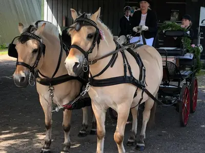 Ferienwohnung für 3 Personen (50 m²) in Groß Vollstedt 9/10