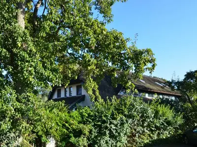 Ferienwohnung für 9 Personen (100 m²) in Mönchgut Auf Rügen 2/10