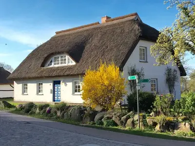 Ferienwohnung für 4 Personen (45 m²) in Mönchgut Auf Rügen 1/10