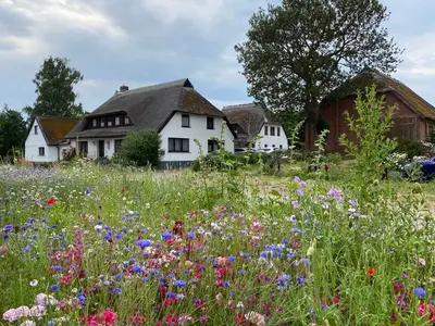 Ferienwohnung für 4 Personen (42 m²) in Mönchgut Auf Rügen 6/10