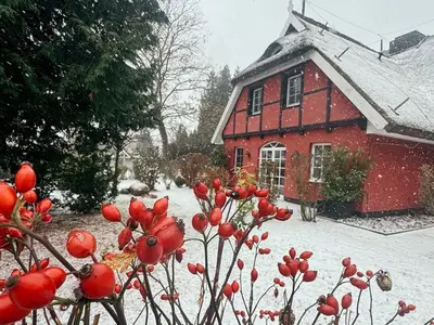 Ferienwohnung für 4 Personen (70 m²) in Groß Zicker 2/10