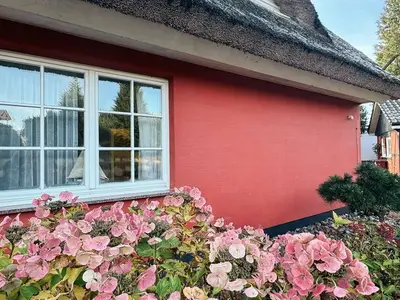 Ferienwohnung für 4 Personen (70 m²) in Groß Zicker 6/10