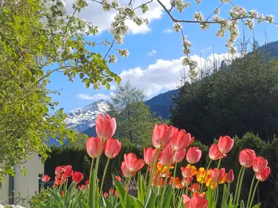 Frauenkogelblick