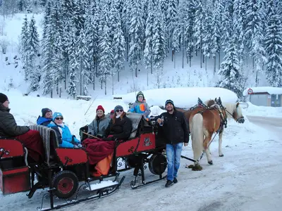 Märchenpferdekutschenfahrt