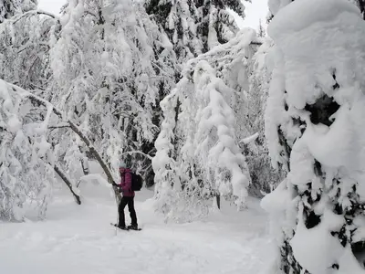 Geführte Schneeschuhwanderungen mit Andrea