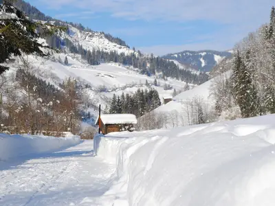 Winterspazierweg direkt vom Haus- entlang vom Bach