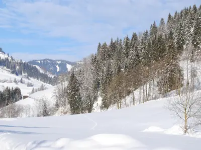 Naturhaus Andrea  - Spaziergweg am Bach entlang