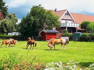 23290817-Ferienwohnung-4-Großefehn-300x225-2