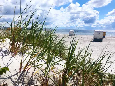 Ferienwohnung für 4 Personen (118 m²) in Großenbrode 6/10