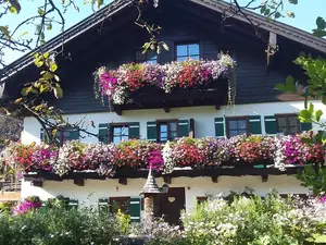 Ferienwohnung für 3 Personen (65 m²) in Großgmain