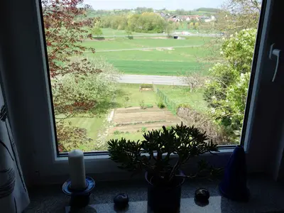 Ausblick aus der Küche