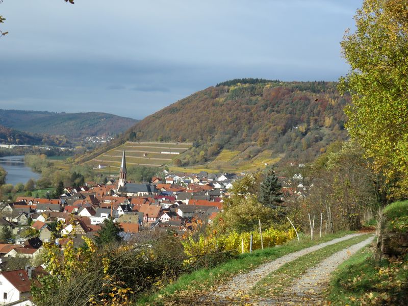 22412175-Ferienwohnung-4-Großheubach-800x600-1