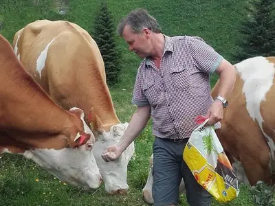 Ferienwohnung für 6 Personen (95 m²) in Großkirchheim 10/10